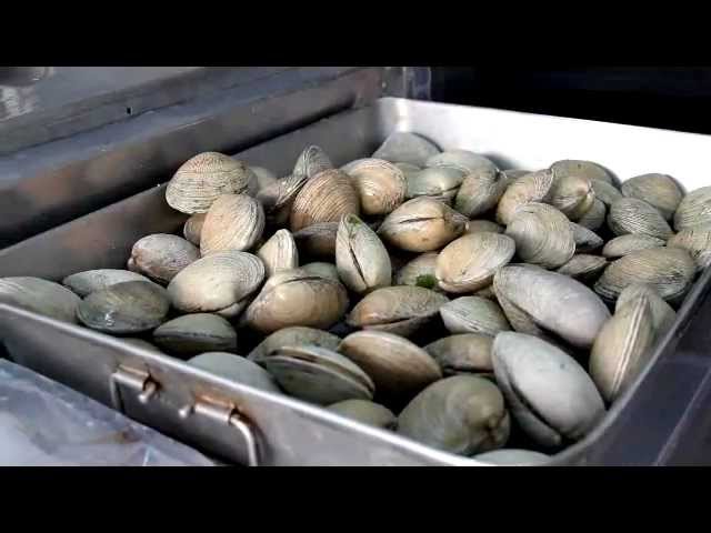 pescaderia huechuraba