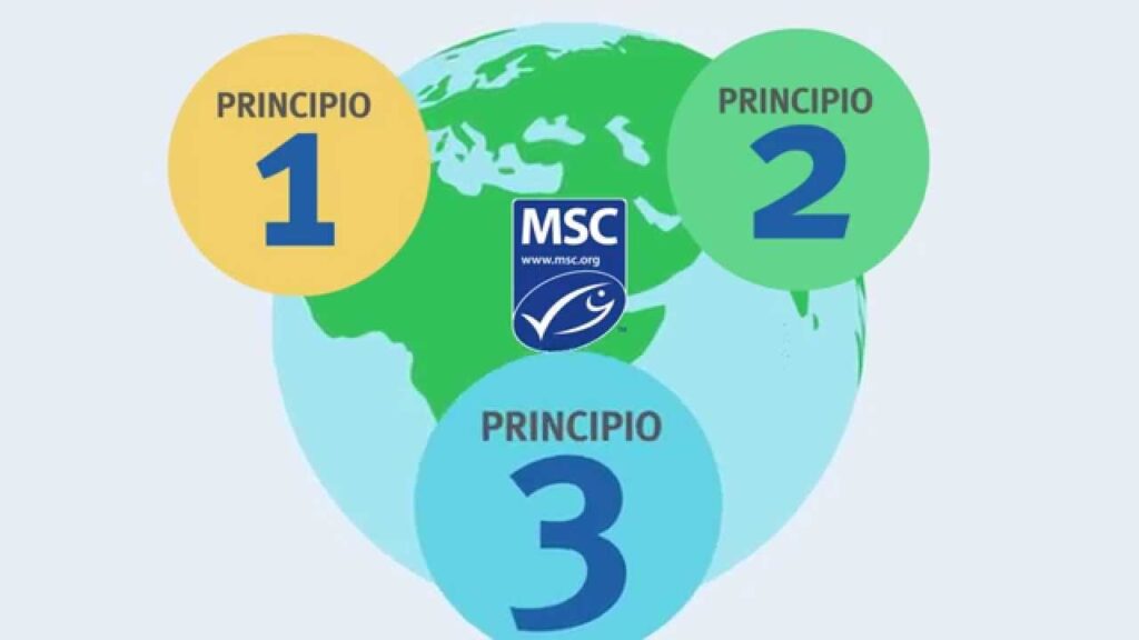 pesca sostenible certificada