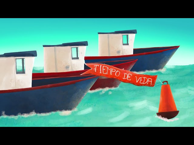 pesca sostenible que es