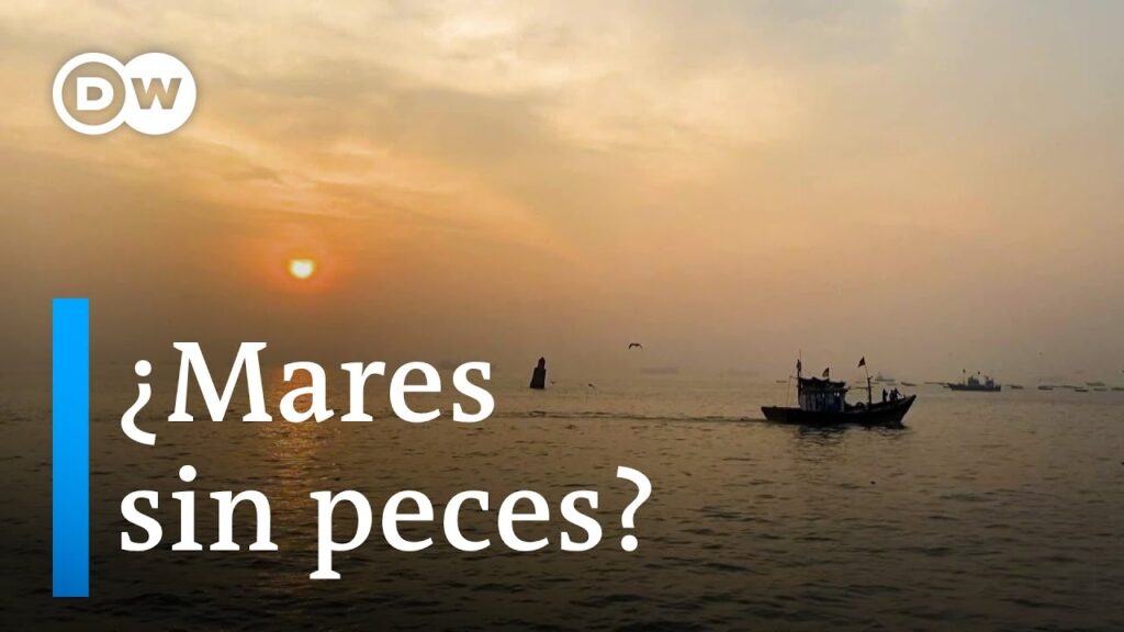 pesca sustentable