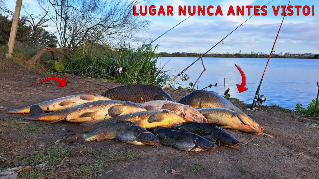 pesca zona sur