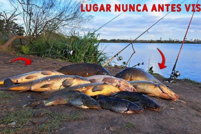 pesca zona sur