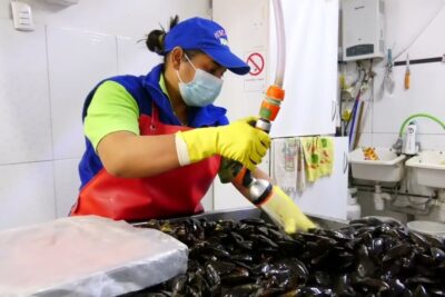 pescaderia ignacia buin