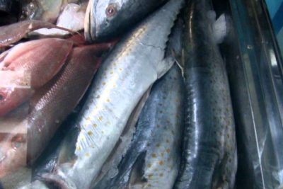 pescaderia y cevicheria delicias del mar