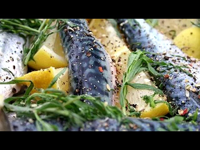 proteinas del jurel