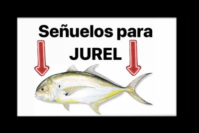 señuelos para pescar jureles