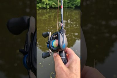 shimano pesca