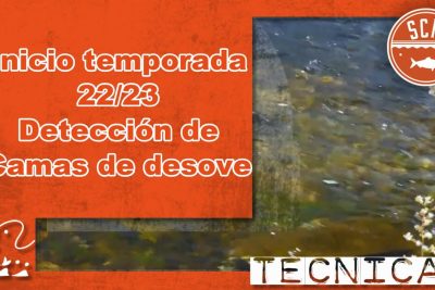 temporada pesca chile