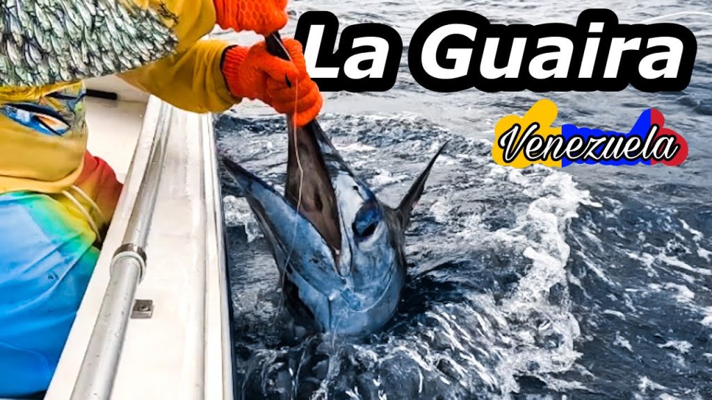 pesca aguja azul