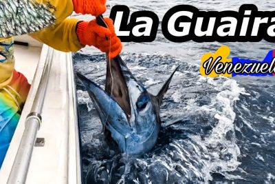pesca aguja azul