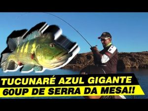 pesca de tucunare azul