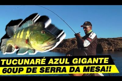 pesca de tucunare azul