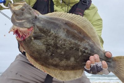 pesca en tunquen