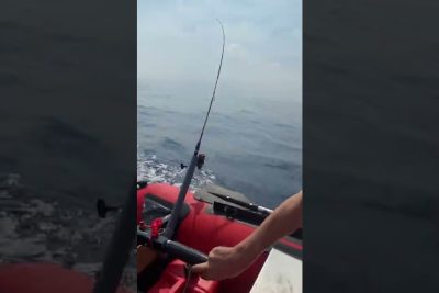 pesca recreativa de superficie bote sin curricán bote sin curricán