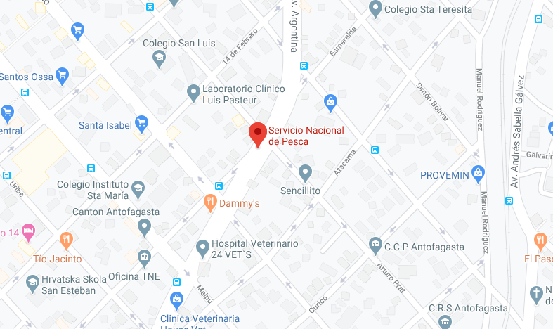 sernapesca-antofagasta-contacto-consultas-y-denuncias