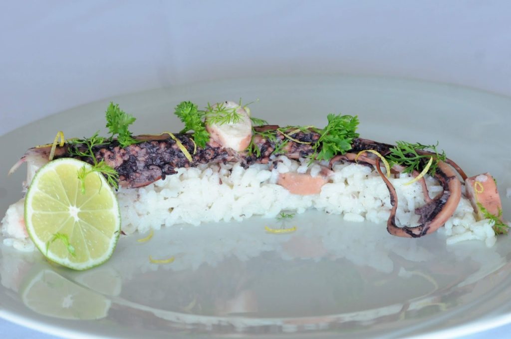 jibia-que-es-calamar-chileno-precio-y-coccion-guia-completa