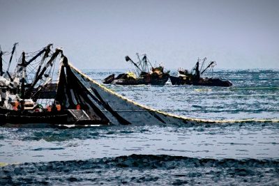 pesca-industrial-chile-flotas-pesqueras-temporadas-y-legislacion-pesquera