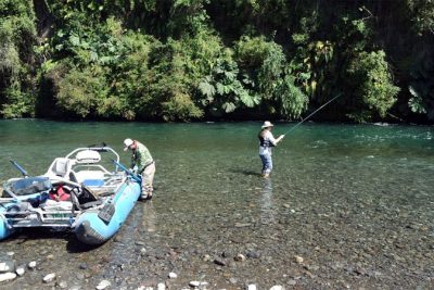rio-pilmaiquen-historia-pesca-con-mosca-y-desafios-actuales
