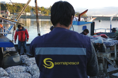 siscomex-sernapesca-consultas-tramites-y-gestion-de-sernapesca-y-siscomex
