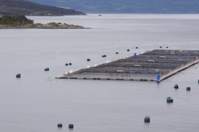 subpesca-chile-impulso-a-la-pesca-y-acuicultura-por-la-subsecretaria