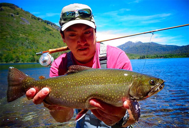 trucha-fontinalis-en-chile-pesca-de-truchas-fontinalis-habitat-y-mas
